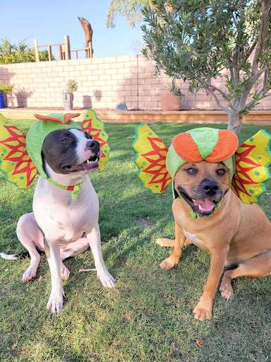 Maya & Penny De la Rosa